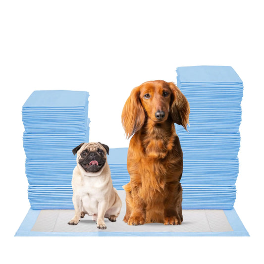 FPN Puppy Pads (300 Count 18x24 in) Super Absorbent & Fast-Drying - Leak-Proof Non-Slip Odor-Control Pee Pads for Dogs Cats & Small Animals - Ideal for All Pets
