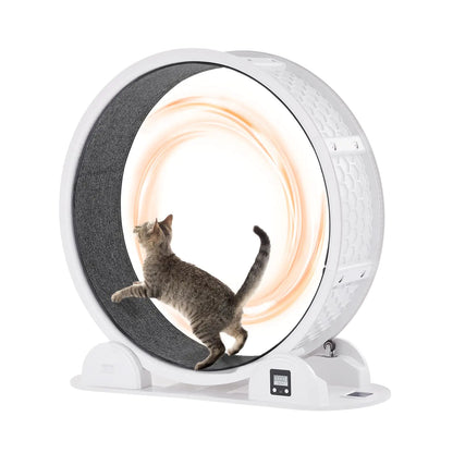 VEVOR Cat Exercise Wheel with Pedometer 40.8 in Cat Running Wheel with Brake & Carpeted Runway Quiet Cat Treadmill for Indoor Cats Under 30lbs Cat Exerciser for Pets Health & Fitness White