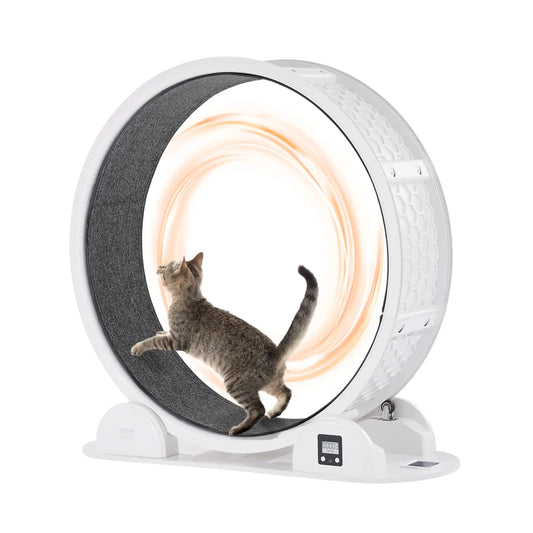 VEVOR Cat Exercise Wheel with Pedometer 40.8 in Cat Running Wheel with Brake & Carpeted Runway Quiet Cat Treadmill for Indoor Cats Under 30lbs Cat Exerciser for Pets Health & Fitness White