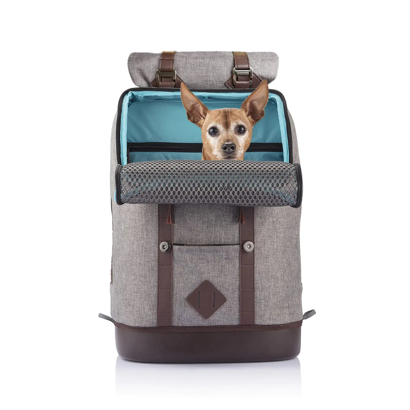 Kurgo Dog Carrier Backpack for Small Pets - Dogs & Cats | TSA Airline Approved | Cat | Hiking or Travel | Waterproof Bottom | G-Train | Ruck Sack | Heather Grey
